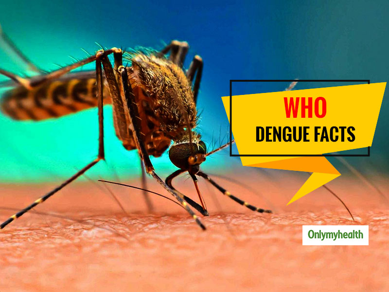 WHO Facts: All You Need To Know About Dengue Fever As Laid Down By WHO ...